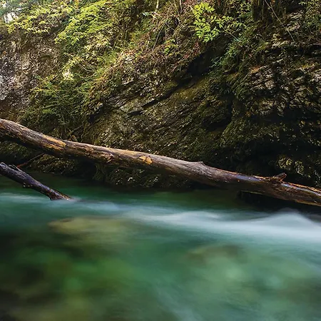 Amazing In Podstene Kupa