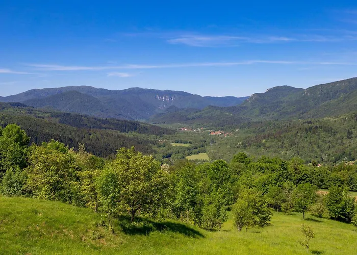 Amazing In Podstene * Kupa