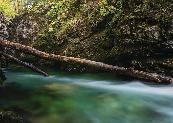 Amazing In Podstene Kupa